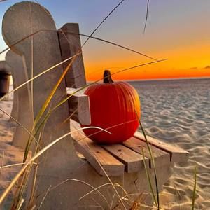 Meet your Posher, Patty